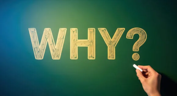 Exploring the Foundational 'Why' Behind Successful Organizations