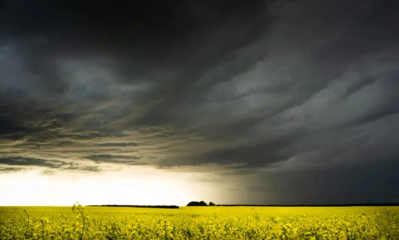 Florida Farm Executive Admits Guilt in Major Crop Insurance Fraud Case